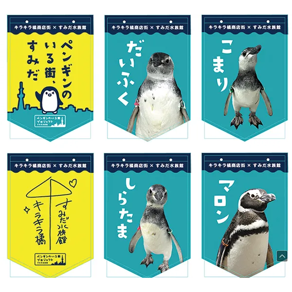 ペンギンのいる街プロジェクト