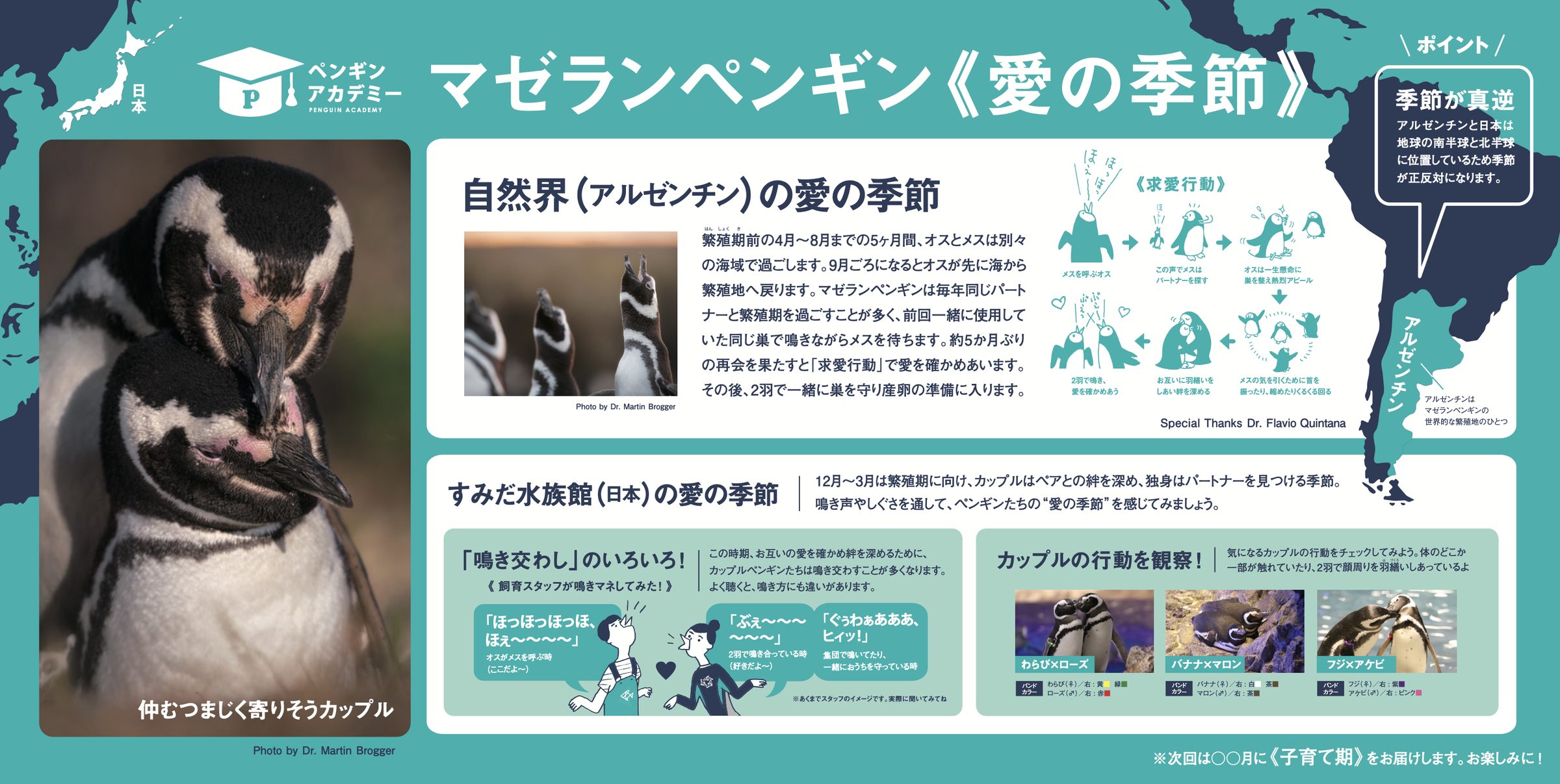 すみだ水族館 ペンギンアカデミーパネル