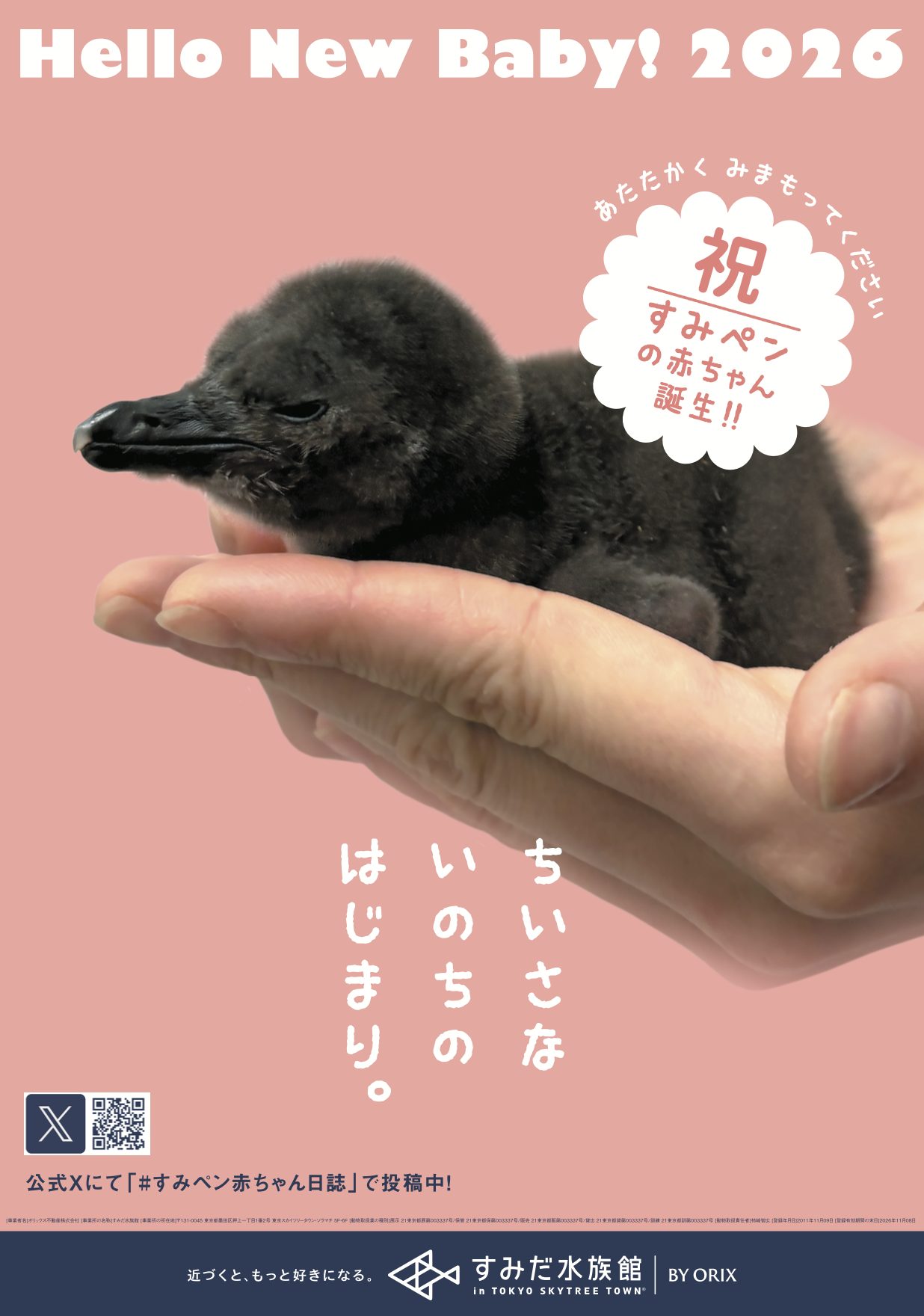 すみだ水族館 ペンギンの赤ちゃん誕生 2026 キャンペーン