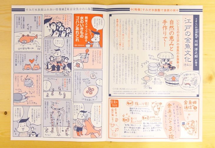 東京金魚かわら版：秋号 チラシ制作