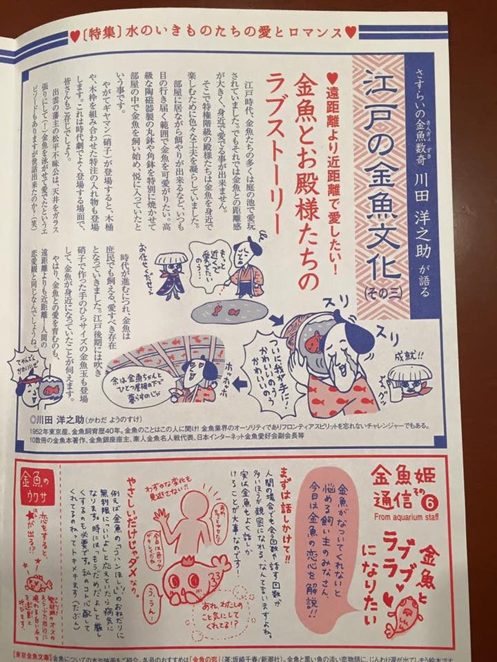 東京金魚かわら版：2015冬号 チラシ制作