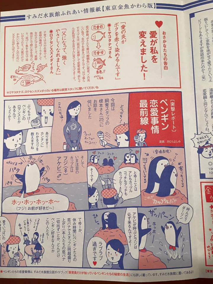 東京金魚かわら版：2015冬号 チラシ制作