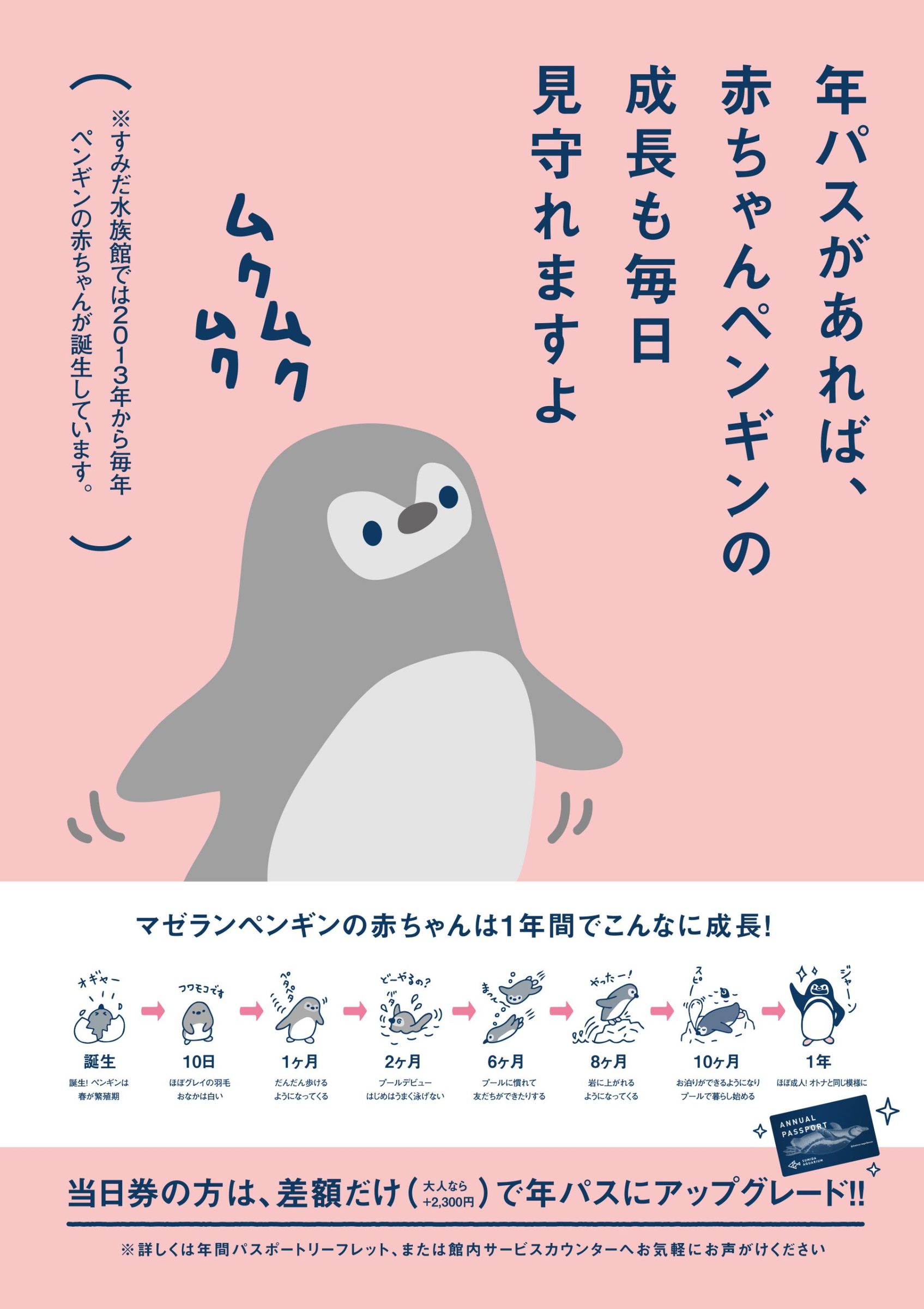 すみだ水族館 赤ちゃんの成長を見守るキャンペーン